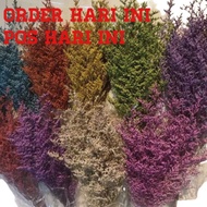 Bunga Kering Caspia Preserved Caspia Flower Dried Grass Premium Gred Ready Stock Malaysia 🇲🇾