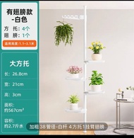 頂天立地花架