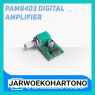 Ren1 PAM8403 Mini 5V Dital Amplifier Board Stereo 2 Channel 3W