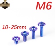FLAWLESSTI M6x15-25 mm Gr5 Titanium Bolts CNC Bolts Front Fender Exhaust Pipe Cover Visor Footboard 