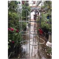 Support Frame, Climbing Rose Rack, Climbing Flower, White Decoration 1.8M High, 40cm Vnd, 13mm Steel Tube Extract