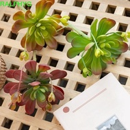 RALPHYG Artificial Succulent Plant, Lifelike Fleshy Fake Cactus, Green Plant Plastic Realistic Real 