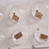 Occus Winding Pinion For ETA 2135-204 Watch Movement Repair Tool Winding Pinion For ETA 3135-204 Wat