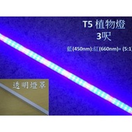 【ARS生活館】LED 植物燈 LED日光燈管 T5 3呎 藍(450m):紅(660nm)=5:1