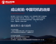 Chengshan Tire 175 185 195 205 215/55 60 65 70R14 15 16 Comfort Pattern