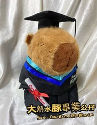 ‼️大熱客製化‼️水豚公仔 🧸大熱人見人愛水豚畢業公仔 水豚畢業公仔 🧸capybara graduation doll畢業公仔可以繡字 ，客製化！超過10種顏色領巾🤩🫰🏻任君選擇！100% new