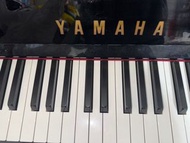 （全場最平，搬屋平放）Yamaha 日本製 U1 通利琴行鋼琴