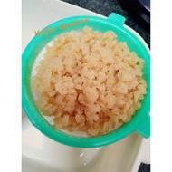 20g Kefir Grains Probiotics