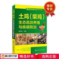 【正版新書】土雞柴雞生態高效養殖與疾病防治 散養土雞實用技術書籍 散養雞飼養管理 科學養雞技術大全 雞病快速診斷與防治技