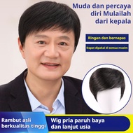 FULL FOR MEDIUM WIG - ELDERLY MEN BUSINESS WIG/ WIG MEN'S FAKE WIG MIDDLE SPLIT