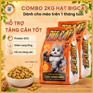BIGCAT 2KG cat seeds - Supports weight gain, high Protein, Protein supplement