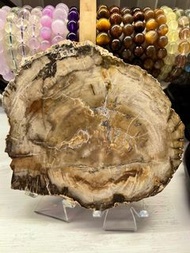 結晶木化玉/樹化玉原石片 #水晶 #玉石 #擺件 #消磁