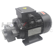 Hydraulic Oil Pump Motor Group Vp15/Vp20 + 0.75kw/1.5KW Hydraulic Pump Assembly Internal Shaft Motor