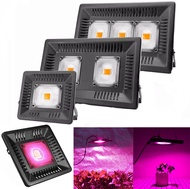 Ranpo Full Spectrum LED Grow Light IP67 50W 100W 150W 220V COB Growth น้ำท่วมแสงสำหรับโรงงานในร่มเรื