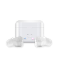 ITC 10 Channel High-End Hearing Aid SR101 Digital USB Rechargeable Memory Function No-Noise Intellig