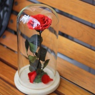 永生花玻璃罩盅 客製不凋花花禮 乾燥花 紅玫瑰永生花