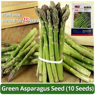 100% Original Sweet Green Asparagus Seeds 10pcs High Yield Organic F1 Vegetable Seed for Planting Ga
