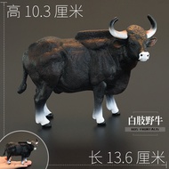 Educational Animal Model Toys