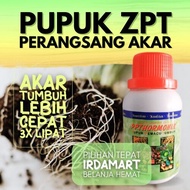 Pupuk Perangsang Akar Pupuk Penumbuh Akar Tanaman dan Daun Cabe Anggrek Aglonema Padi Stek Cangkok