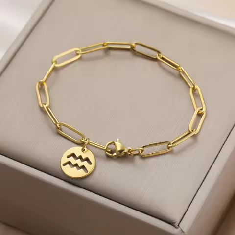 Skyrim Zodiac Charm Bracelet Women Stainless Steel Paperclip Chain Bracelets Constellation Aquarius