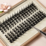 256pcs Fox Hair Lash Cluster Set: D-Curl 8-15mm DIY Extensions — Lash Book  Set 256pcs Bulu Mata Fox