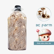 Long-legged mushroom embryos, 1.2kg 2.5kg of evenly grown silk - 3C FARM