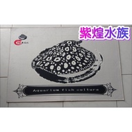 Carpet// Arowana Carpet -|E18 E18|[Dragon Jazz Aquarium]