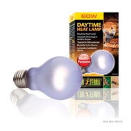 Exo Terra daytime heat lamp 15w/ 25w/ 60w UVA light digestion heat bulb daylight spectrum light bask