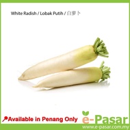 [Epasar Malaysia] [Only Penang] White Radish / Lobak Putih   白萝卜