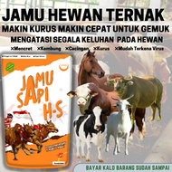 Jamu ternak hs penambah makan gemuk vitamin hewan ternak sapi kambing domba kuda babi