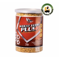 ¤▩Salto Wheat Germ Plus 700g For Conditioning for Gamefowls