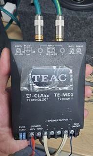 Teac  mono Amplifier