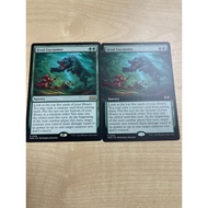 (WOE) Feral        Encounter