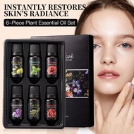 6 Kinds of Plant Essential Oil Moisturizing Set Rejuvenating Beauty Lifting Antioxidant Massage Esse