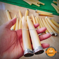 PIPA ROKO IDUYU SUPER MODEL TARDUY RASA MIRIP GG GURIH NIKMAT