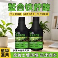 Becos Chelated Iron Citric Acid Improves New Leaf Loss Green Promotes Photosynthetic Acid Supplement