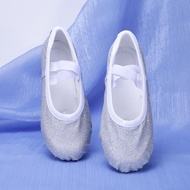 Shiny Silver Dance Shoes Performance Dance Shoes Performance Dance Shoes Adult Dance Shoes