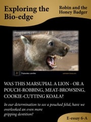 Was This Marsupial A Lion: Or A Pouch-Robbing, Meat-Browsing, Cookie-Cutting Koala? Robin and the Honey Badger