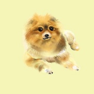 電繪-客製寵物貓狗畫像委託肖像畫 -似顏繪-毛孩紀念
