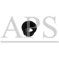 PROTON SAGA BLM (MANUAL),H/A 689 GEAR LEVER BUSH (45)