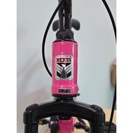 NEXUS LIMAR 20 INCH KIDS BIKE 20 INCH CHILDREN'S BIKE/ NEXUS LIMAR