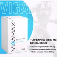vigamax asli original suplemen stamina pria sudah BPOM RI 