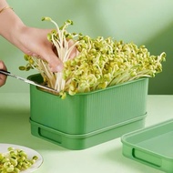 [COMBO of 2] Sprout Bean Sprout Tray with Convenient Lid, Safe and Clean Sprout Nursery Kit for Grow