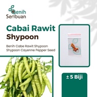 Benih Seribuan - 5 Bibit Cabe Rawit Shypoon Hibrida