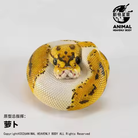 Spot Animal Nebula Heart Wide Body Fat Series Ball Python Pet Snake Handheld Model (Blue Eye Lucy/Pi