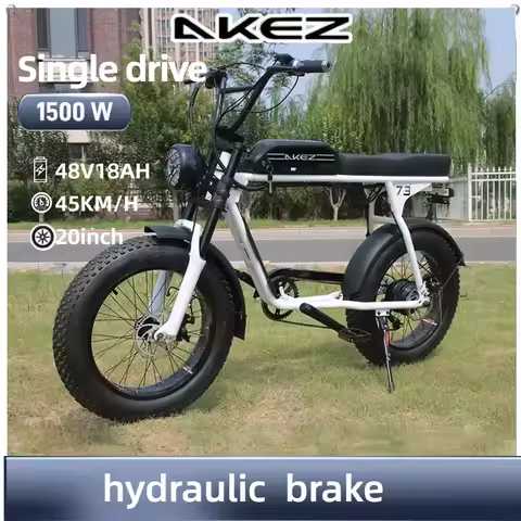 Electric Bike Leisure commuting 1500W Motor 48V 18AH battery Hydraulic Brake E-bike 20inch mountain 