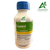 LOYANT 500ml Racun rumput padi