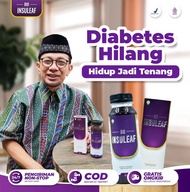 BIO INSULEAF - Pelopor Insulin Kontrol Gula Darah Diabetes Kolesterol Darah Tinggi Asam Urat