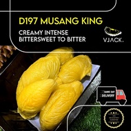 [Pre-Order] D197 Old Tree Musang King Fresh Durian Natural