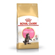 Royal Canin Maine Coon Kitten 400gr And 2kg (Unit) - RC Dry Mainecoon Kitten Food - Premium Mainecoo